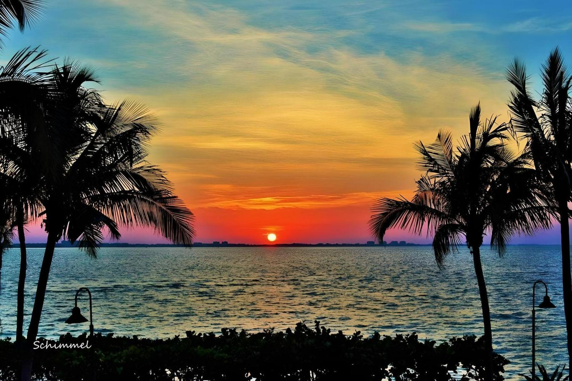 Luxury Zen Den With Heated Pool Just Off Siesta Key Appartement Sarasota Buitenkant foto