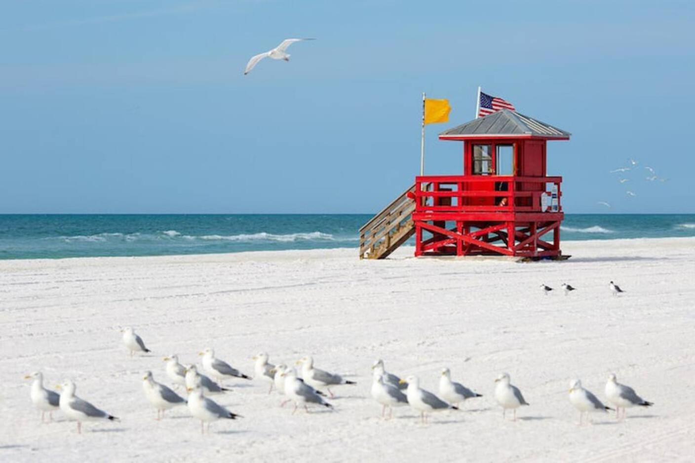 Luxury Zen Den With Heated Pool Just Off Siesta Key Appartement Sarasota Buitenkant foto